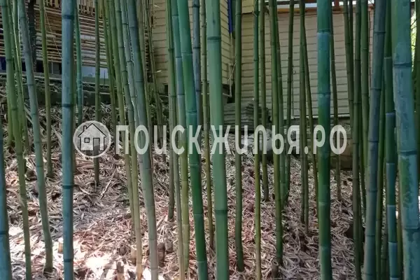 Дом под ключ «Визр»