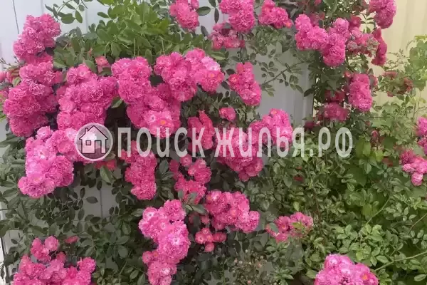 Дом под ключ «Частное домовладение под ключ» Дом под ключ «Частное домовладение под ключ»