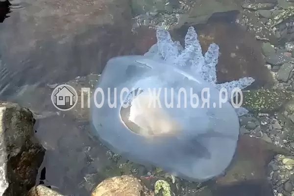 Квартира «На улице Лукоморья»