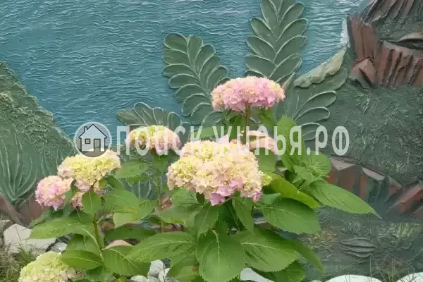 Частный сектор «На Фруктовой»