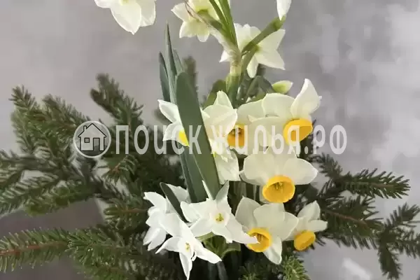 Частный сектор «Четыре сезона»