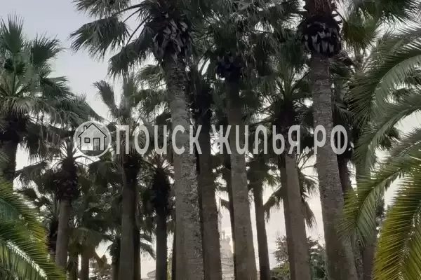 Квартира «Остров Мечты»