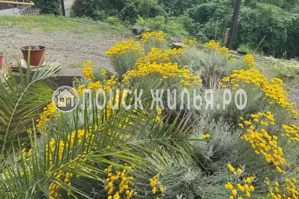 Апартаменты «АкваД»