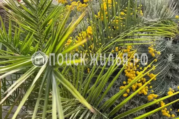 Апартаменты «АкваД»