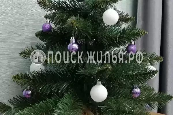 Апартаменты «В Сириусе»