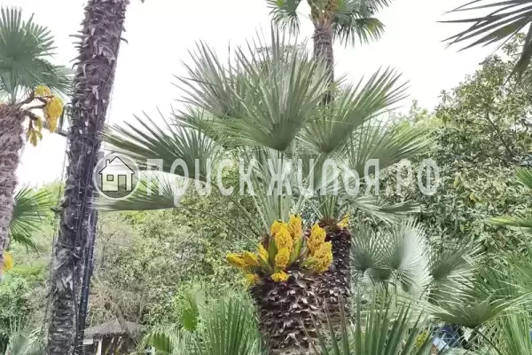 Квартира «Семейный»