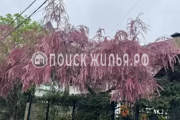 Квартира «Морская Звезда»