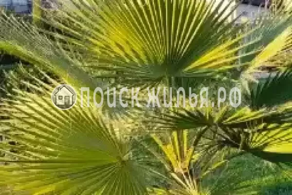 Апартаменты «Тюльпановка»