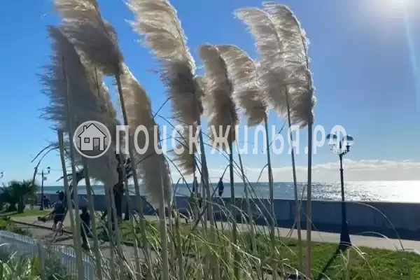 Квартира «Уютная квартира в Олимпийском парке»