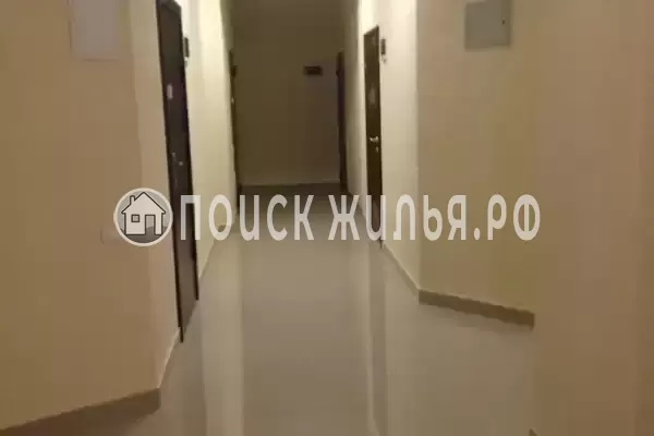 Квартира «Коралл»