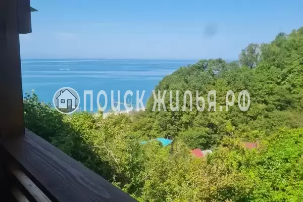 «Панама» «Панама»