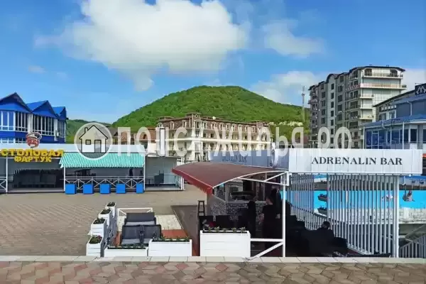 Апартаменты «Афалина» Апартаменты «Афалина»