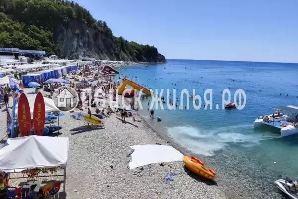 Апартаменты «Афалина» Апартаменты «Афалина»