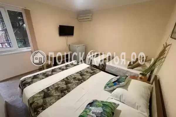 «Алексина»