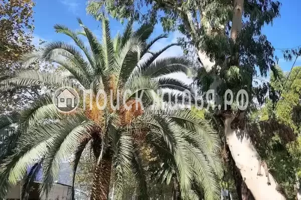 Квартира «У моря»
