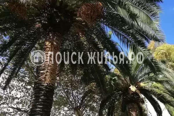 Квартира «У моря»