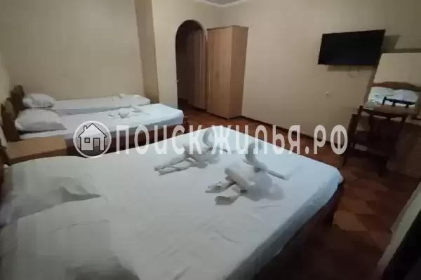 «Сосновый бор»