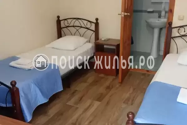 «Белый виноград»