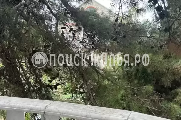 Частный сектор «Маша дома»