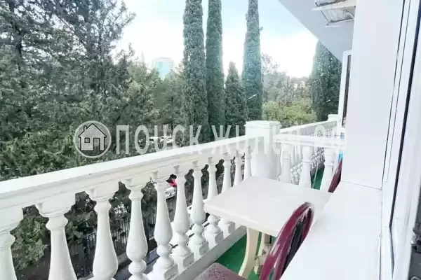 «Камелия 2» «Камелия 2»