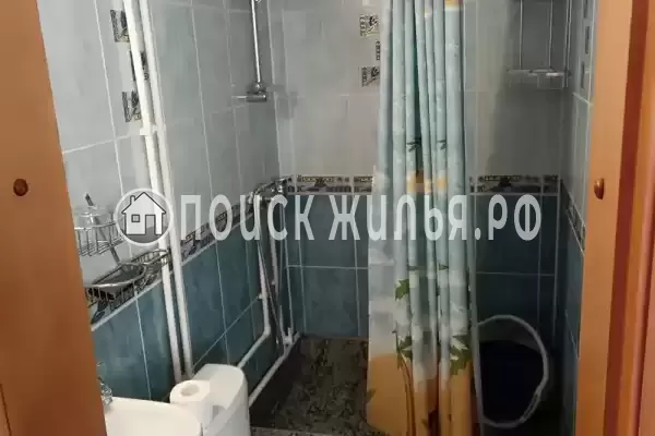 «Дельфин» «Дельфин»