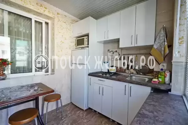 «Дельфин» «Дельфин»