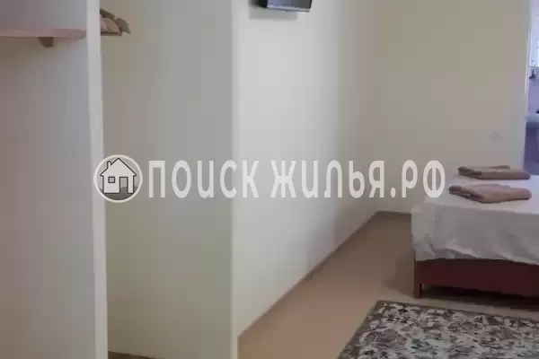 «Кактус» «Кактус»