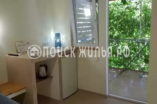 «Кактус» «Кактус»