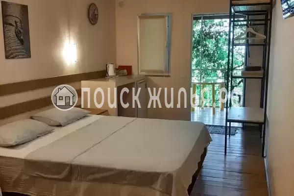 «Кактус» «Кактус»