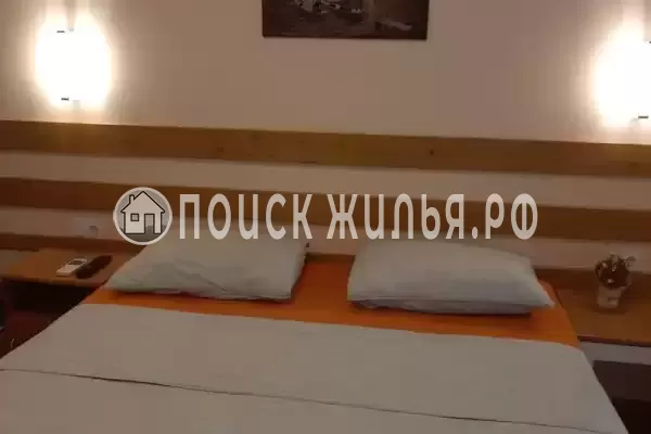 «Кактус» «Кактус»