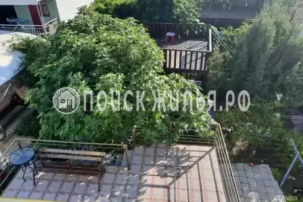 «Елизавета»