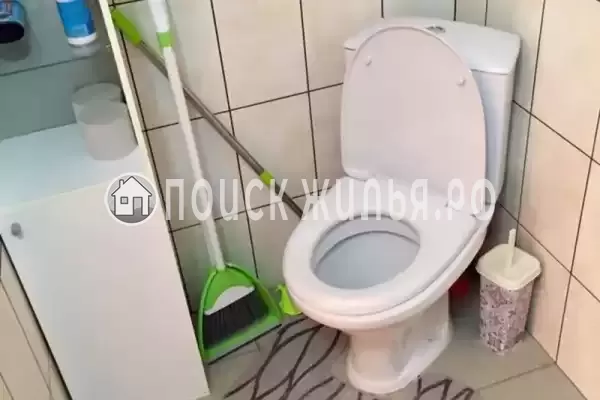 «Елизавета»