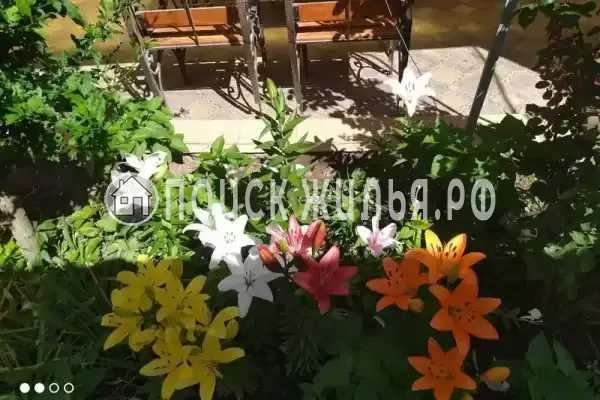 «Белая дача»