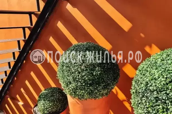 «На Самшитовой» «На Самшитовой»