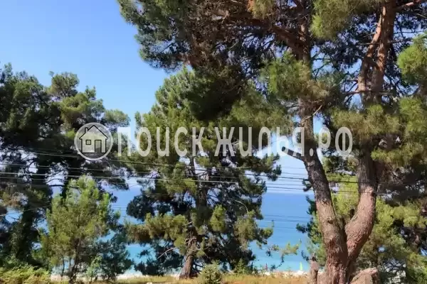 Гостиница «Саучи»