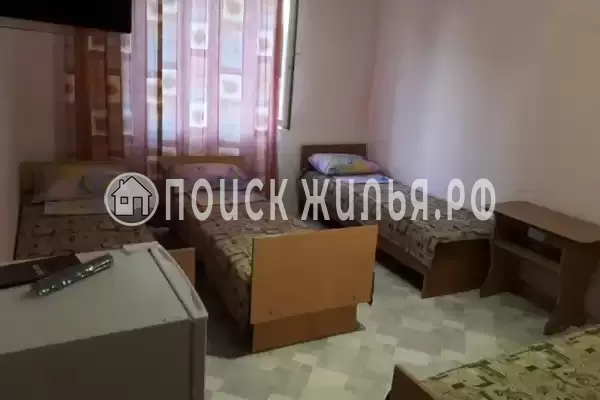 «Пальма»