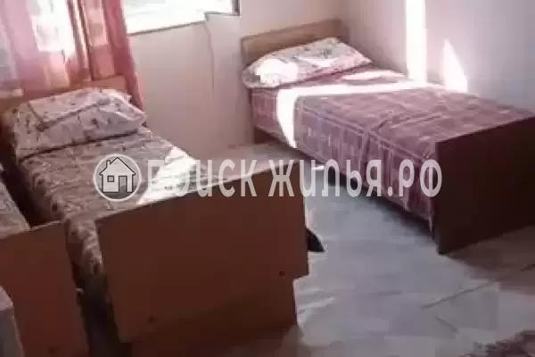 «Пальма»