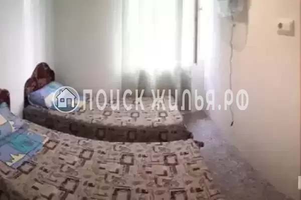 «Пальма»