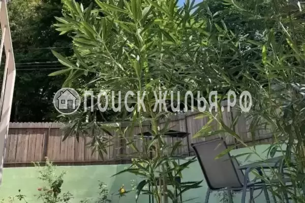 Частный сектор «Green Willing House» Частный сектор «Green Willing House»