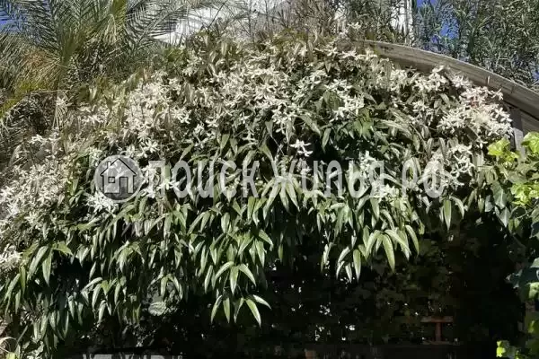 Апартаменты «Дизайнерский апартамент» Апартаменты «Дизайнерский апартамент»