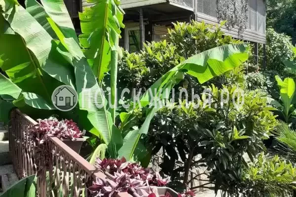 Частный сектор «Дом с прекрасным видом на Мацесте» Частный сектор «Дом с прекрасным видом на Мацесте»