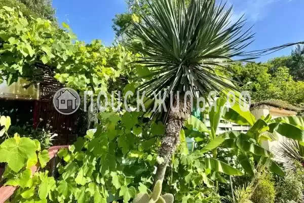 Частный сектор «В Зелёном саду» Частный сектор «В Зелёном саду»