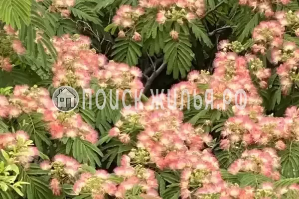 Квартира «С панорамным видом на горы»