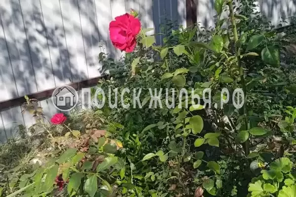 Дом под ключ, Главная, д.59 Дом под ключ, Главная, д.59