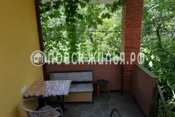 «Мария» «Мария»