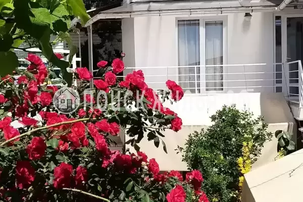 «Итинисан»