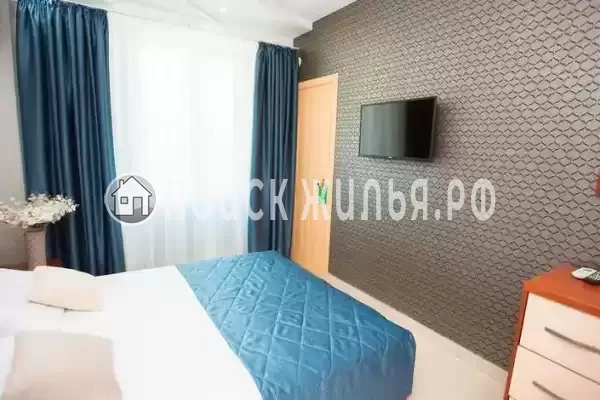 «Forest» «Forest»