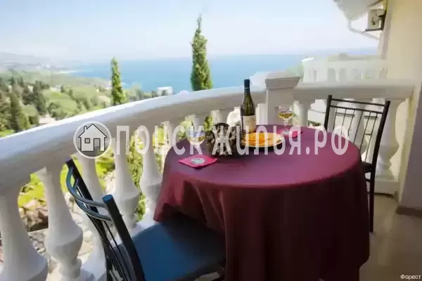 «Forest» «Forest»