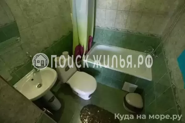 «Лиса» «Лиса»