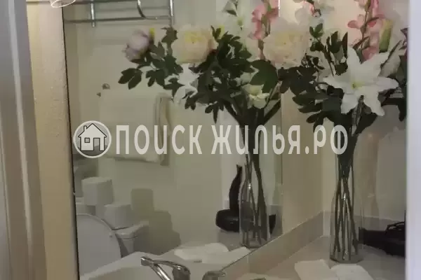 «Черепаха»